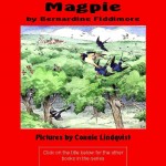 The Wicked Magpie