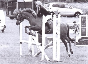 Over the Jumps