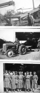  Top: Fred Lancaster dealing with rubbish from new Hop Picking Machine 1954. Centre: Joan Beaney (Bailiffs Daughter) off for another load Bottom: First operators new Hop Picking Machine, Sharvels 1954.