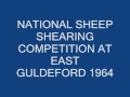 National Sheep Shearing Competition at East Guldeford 1964