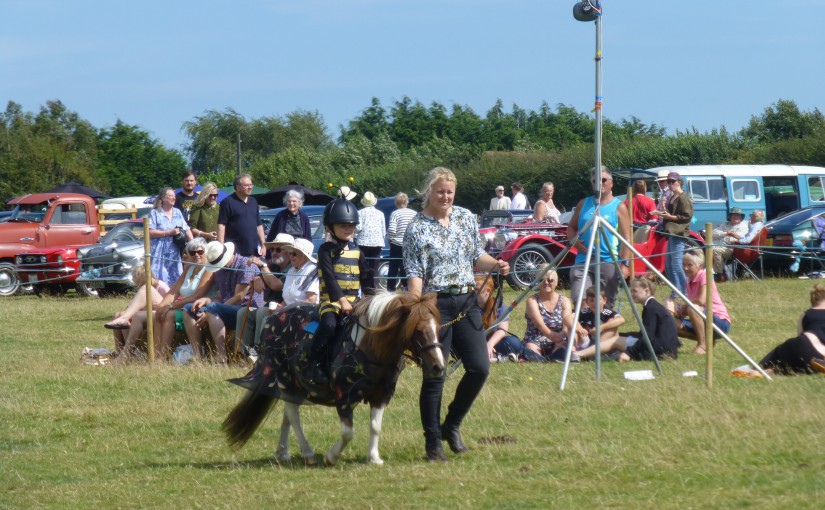 Rye & District Country Show 2016